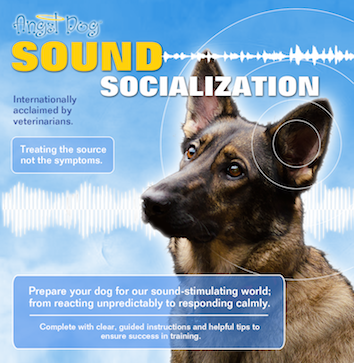 Angel Dog Sound Socialization v2019 Cover