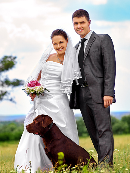 Wedding Event Pet Services