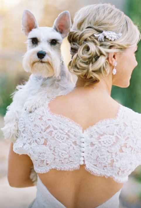 Lovely bride with precious dog