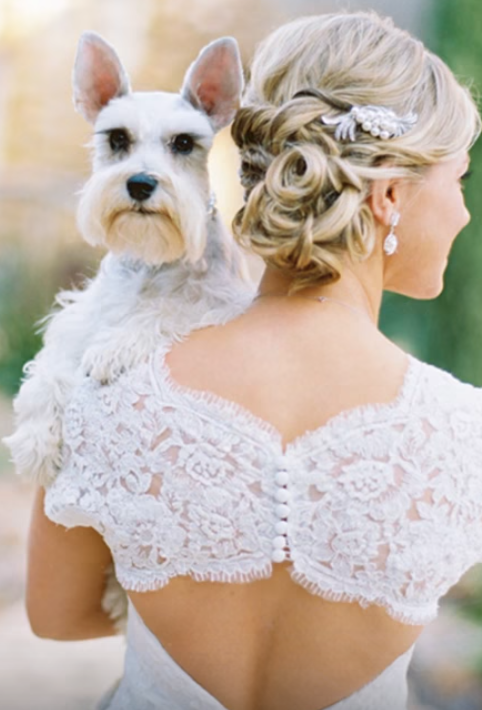 Wedding Event Pet Services