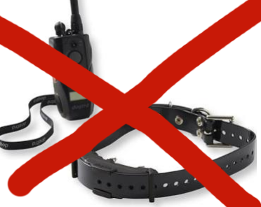 Say NO to e-collars 