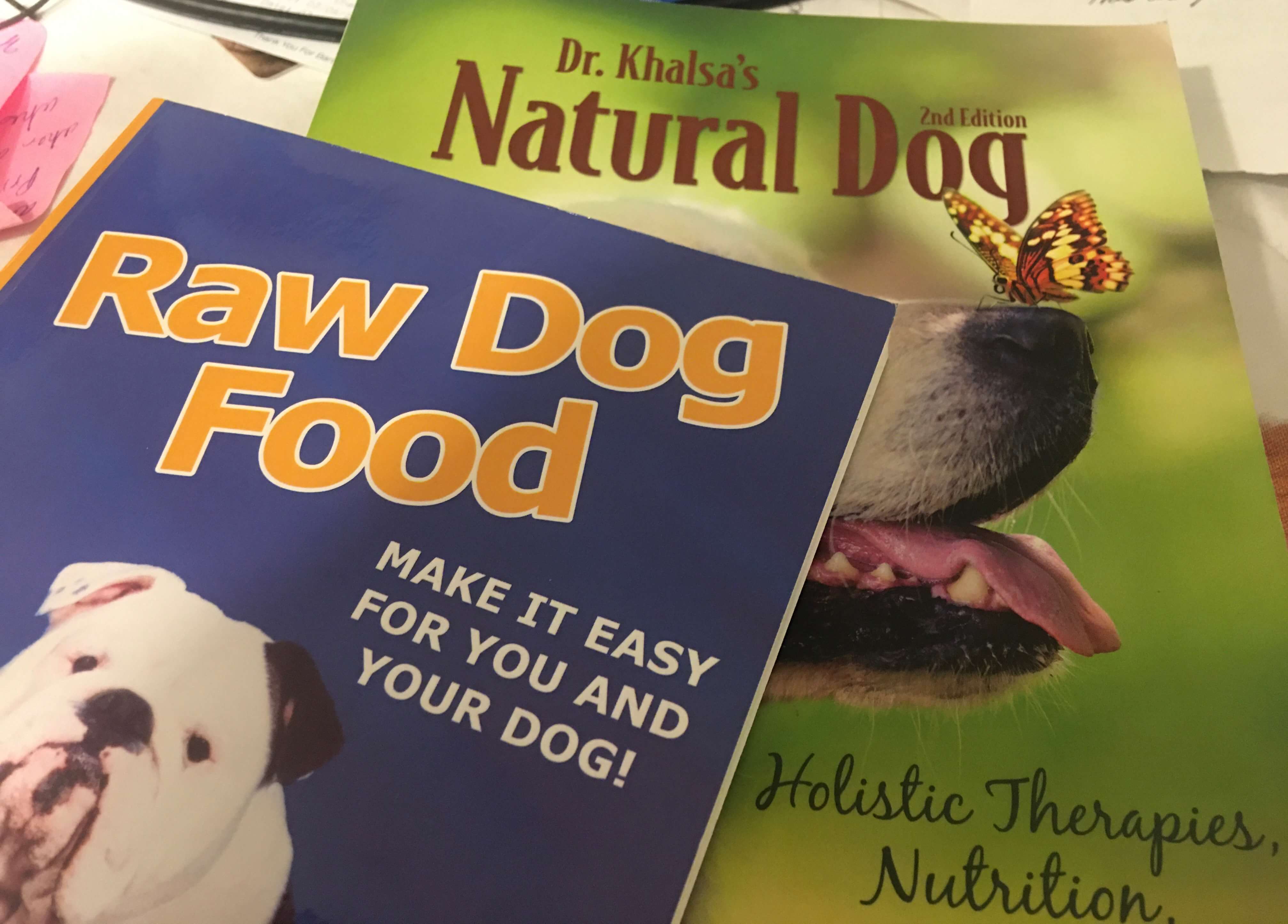 From dry kibble to homemade human grade meals to raw &#8211; the journey to radiant health through diet for dogs