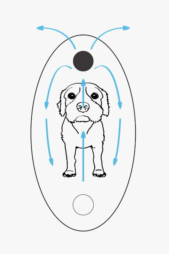 Dog energy flow image