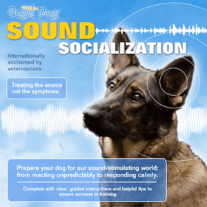 Angel Dog Sound Socialization – CD
